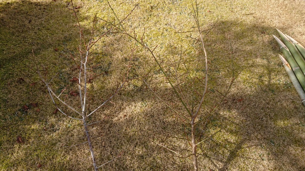 DSC_0135-1024x576